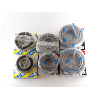 Комплект подшипников КПП ZAZ FORZA (ЗАЗ Форза), ZAZ VIDA (ЗАЗ Вида), Chery A13