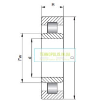 32514 (NU2214ECP) SKF роликовий радіальний однорядний підшипник