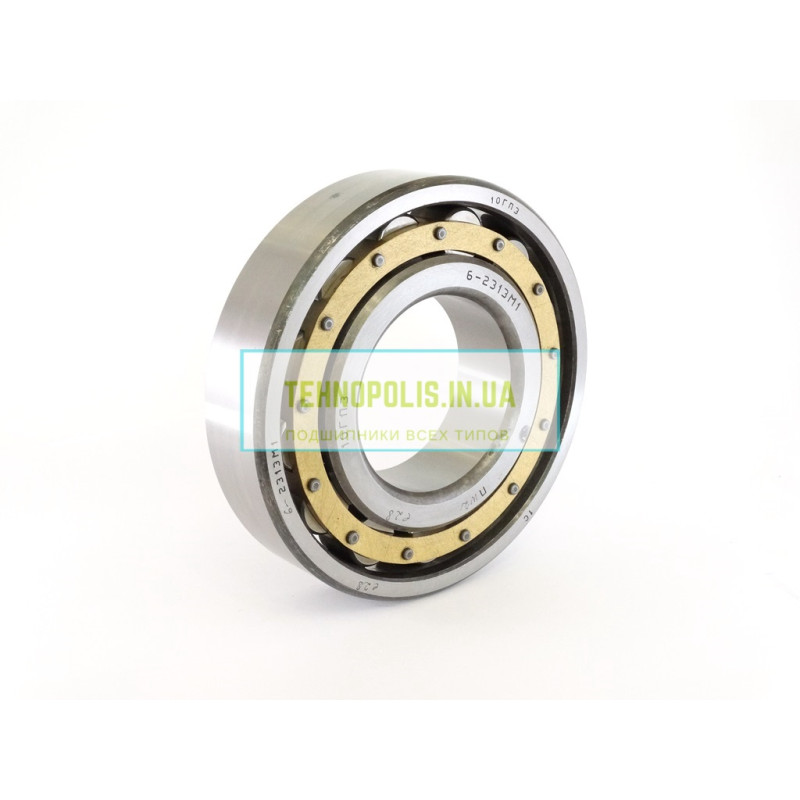 2313 (N313) 10 ГПЗ роликовый цилиндрический однорядный подшипник